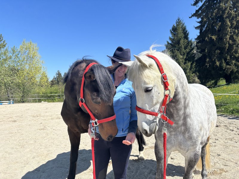 Equicoaching couple